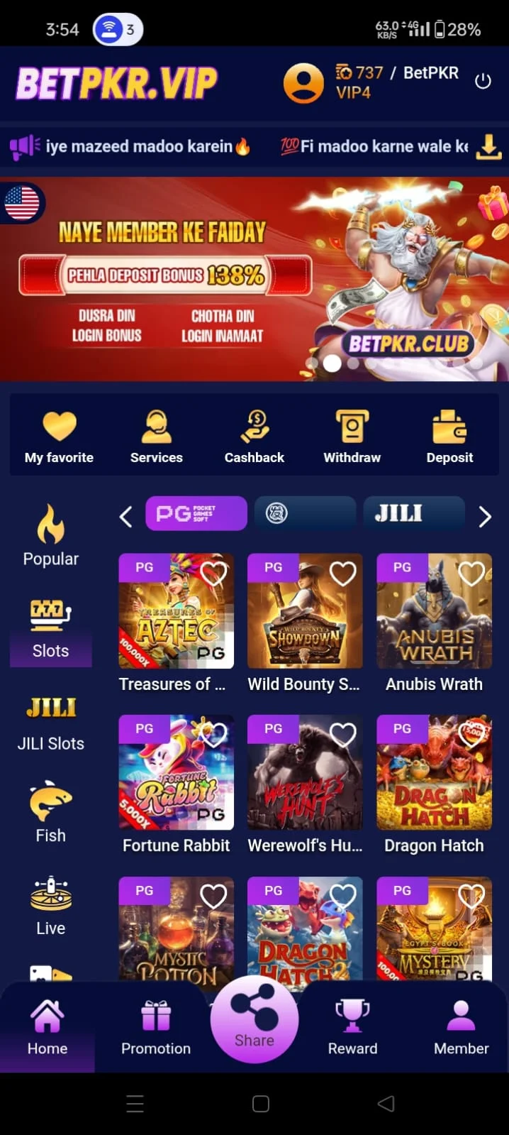 "image shows PG games in Betpkr App"
